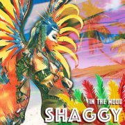 Shaggy - In The Mood (2023) [Hi-Res]