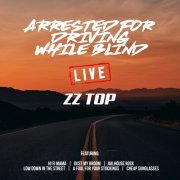 ZZ Top - Arrested For Driving While Blind (2019) flac