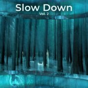 VA - Slow Down Vol 2 (2024)