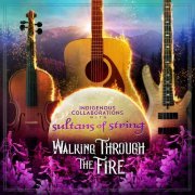 Sultans Of String - Walking Through the Fire (2023) [Hi-Res]