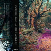 Siavash Amini - All Lanes Of Lilac Evening (2020) [Hi-Res]