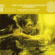 Sonic Youth, Mats Gustaffson, Merzbow - Andre Sider Af Sonic Youth (Syr 8) (2008) [Hi-Res]