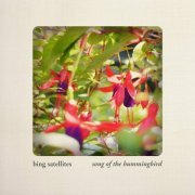 Bing Satellites - Song Of The Hummingbird (2017)