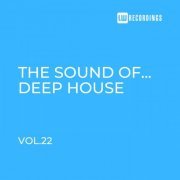 VA - The Sound Of Deep House, Vol. 22 (2024) FLAC