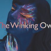 The Winking Owl - Into Another World (2017) flac