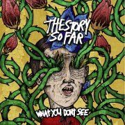 The Story So Far - What You Don't See (2013)