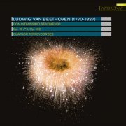 Quatuor Terpsycordes - Beethoven: Con intimissimo sentimento (2013) [Hi-Res]