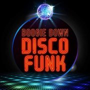 VA - Boogie Down Disco Funk (2020)