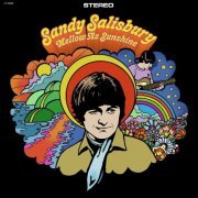 Sandy Salisbury - Mellow As Sunshine (2024) [Hi-Res]