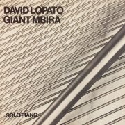 David Lopato - Giant Mbira (2023)