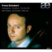 Marc Coppey, Peter Laul, Ilya Gringolts - Schubert: Arpeggione / Sonatina / Trio No. 1 (2010) [Hi-Res]