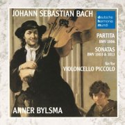 Anner Bylsma - Bach: Partita & Sonaten Fur Violine (1989) [2019 SACD]