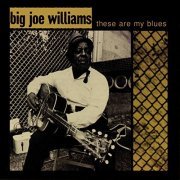 Big Joe Williams - These Are My Blues (Live) (1998/2020)