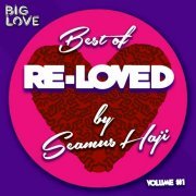 Seamus Haji - Best Of Re-Loved Vol 1 (2017)