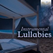 Tomasz Kamieniak, Hakon Austbo, Mauro Tortorelli, Vincenzo Maltempo, Marco Rapetti - Instrumental Lullabies (2022)