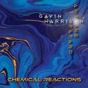 Antoine Fafard & Gavin Harrison - Chemical Reactions (2020)