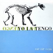 Yo La Tengo - Ride The Tiger (Reissue) (1986/1996)
