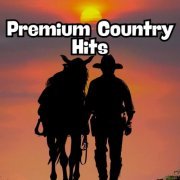 VA - Premium Country Hits (2024)