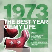 VA - 1973 The Best Year Of My Life (2010)
