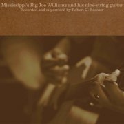 Big Joe Williams - Mississippi's Big Joe Williams and His Nine-String Guitar (2021) [Hi-Res]