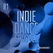 VA - Indie Dance Grooves, Vol. 01 (2022) MP3