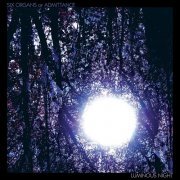 Six Organs of Admittance - Luminous Night (2009)