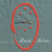 Bush Tetras - Beauty Lies (1997/2022)
