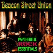 Beacon Street Union - Psychedelic Rock Essentials (2011)
