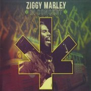 Ziggy Marley - In Concert (2013) Lossless
