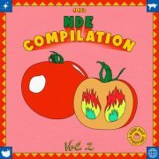 VA - NDE Compilation 002 Vol.2 (2022)