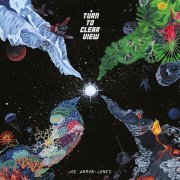 Joe Armon-Jones - Turn to Clear View (2019) [CDRip]