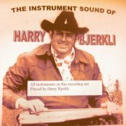 Harry Bjerkli - The instrumental sound of Harry Bjerkli (2024)