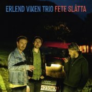 Erlend Viken Trio - Fete slåtta (2022) [Hi-Res]
