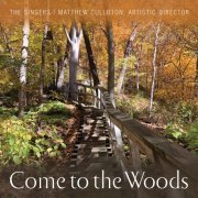 Stephen Swanson - Come to the Woods (2022)