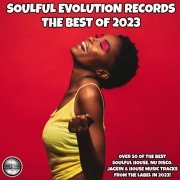 VA - Soulful Evolution Records The Best of 2023 (2023)