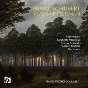 Vladimir Feltsman - Schubert: Piano Works, Vol. 7 (2024) [Hi-Res]
