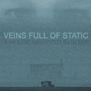 Veins Full Of Static - A House Wrapped In Sleep (2024)
