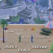 Sea of Lettuce - Any Day Now (2024) Hi Res