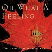 VA - Oh What a Feeling: A Vital Collection of Canadian Music [4CD Box Set] (1996)