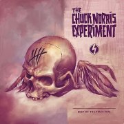 Chuck Norris Experiment - Best Of The First Five (2012)