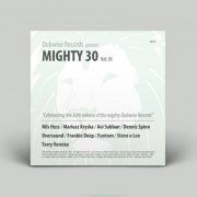 VA - Dubwise Pres. Mighty 30, Vol. III (2019)