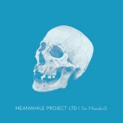 Meanwhile Project Ltd - Sir Mandrill (2024)