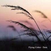 Flying Cobra - Data (2019)