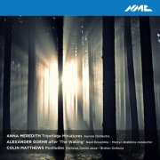 Aurora Orchestra, Nash Ensemble, Britten Sinfonia - Anna Meredith, Alexander Goehr & Colin Matthews: Chamber Works (Live) (2020) [Hi-Res]