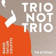 Aidan Baker, Stacy Taylor & John Colpitts - Trio Not Trio - Yn Gyntaf (2023)