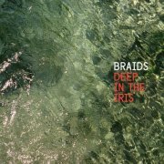 Braids - Deep In the Iris (2015) flac
