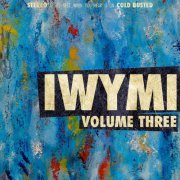 VA - IWYMI Volume Three (2014) [Hi-Res]