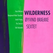 Øyvind Brække - Wilderness (2020)