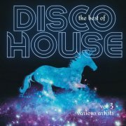 VA - The Best Of Disco House Vol 3 (2024)